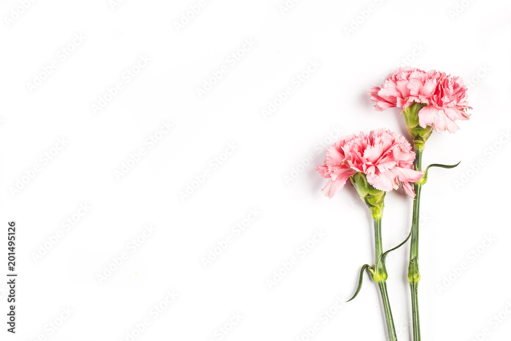 Carnations, happy mother's day, greeting cards Carnations, happy mother's day, greeting cards