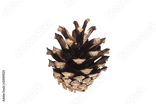 cone isolated on white background