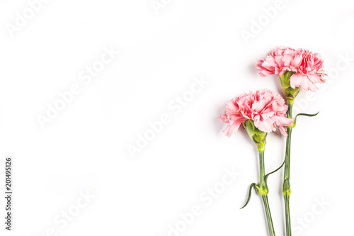 Wallpaper Mural Carnations, happy mother's day, greeting cards Torontodigital.ca