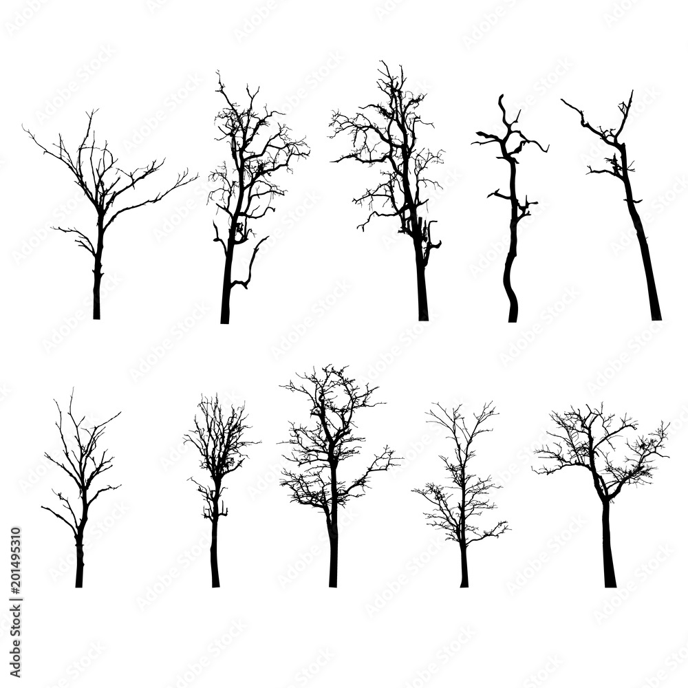 vector black silhouette of a bare tree Stock Vector | Adobe Stock