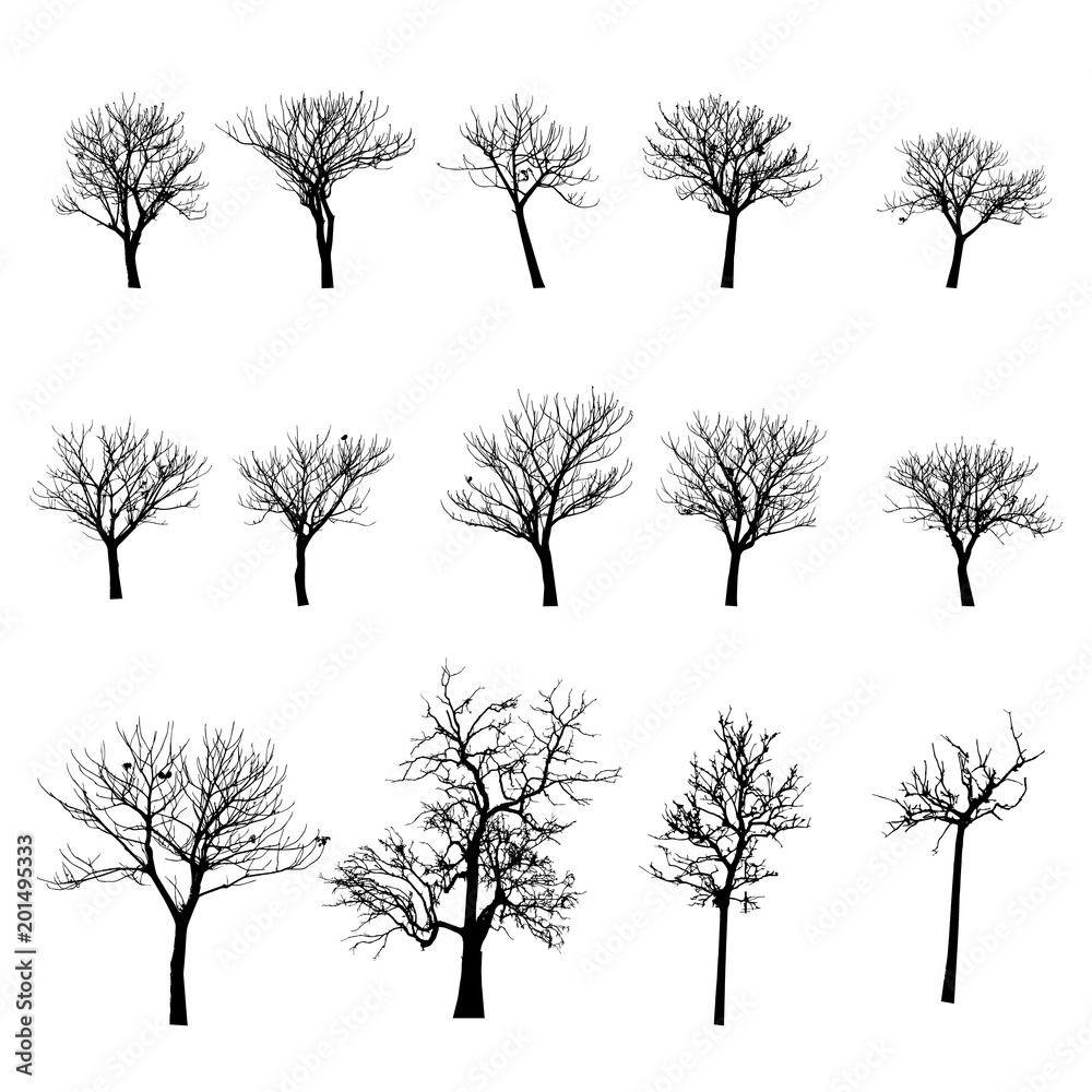 vector black silhouette of a bare tree