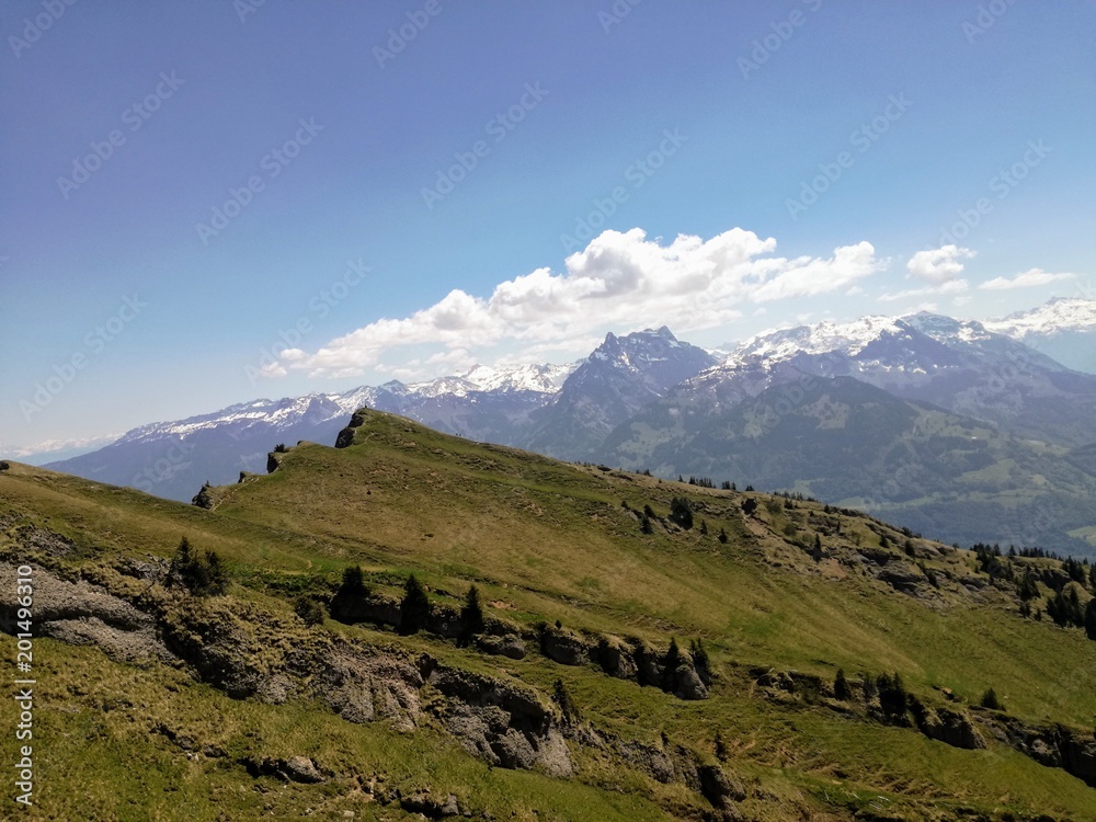 Fototapeta premium dav