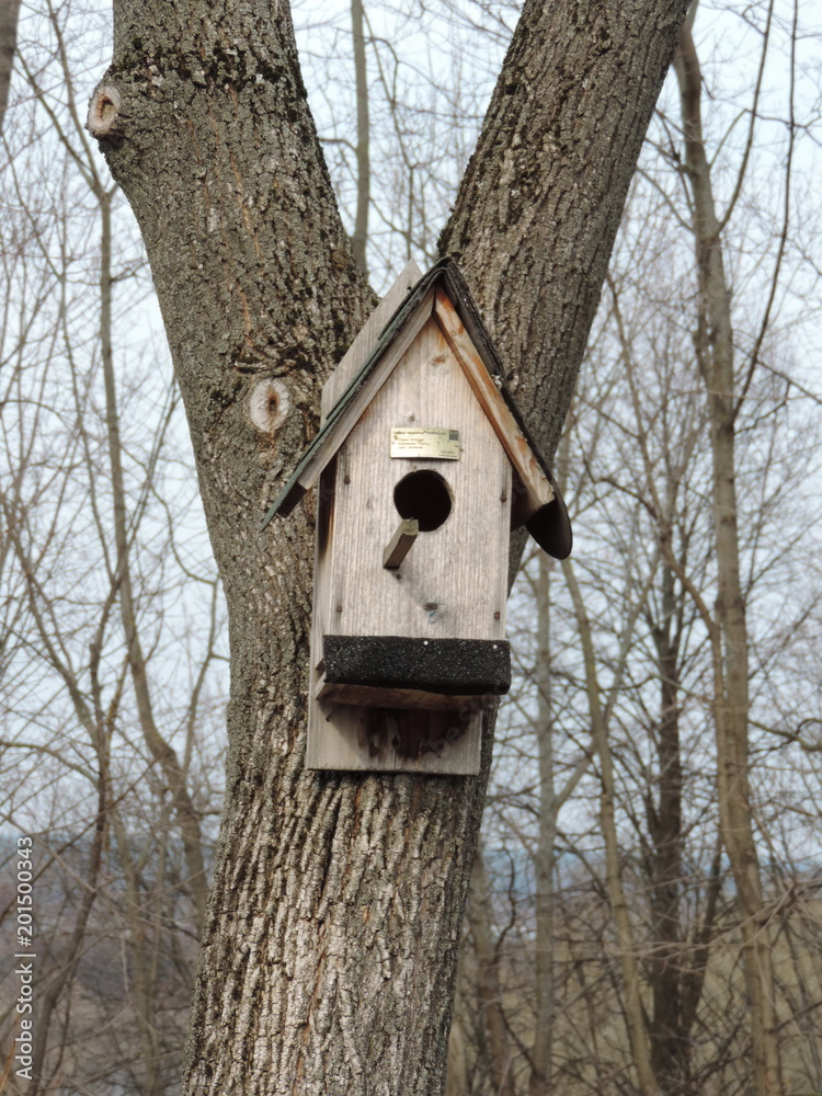 The birdhouse.