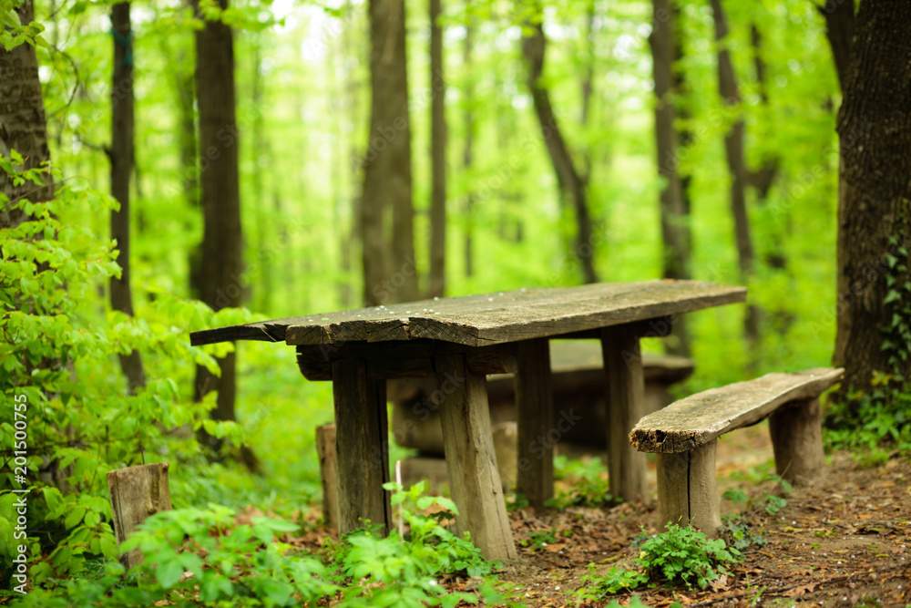 Peaceful spot in a lush green forest. Wooden table and benches in picnic area. Peaceful spot in a lush green forest. Wooden table and benches in picnic area.