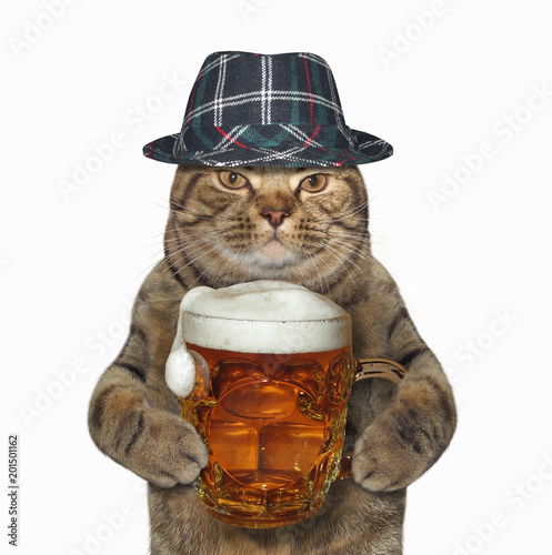 Foto The cat in a hat holds a glass mug of beer. White background.