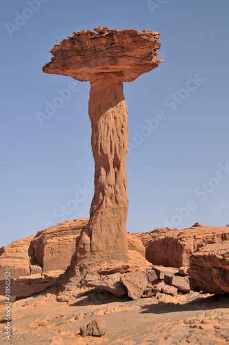 Chad Southern Sahara desert Ennedi massif needles and sandstone mushrooms of Sicandre 