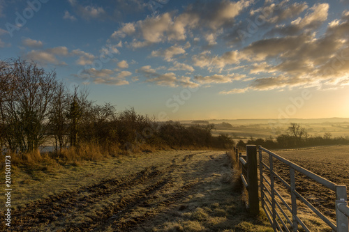 Frosty Morning