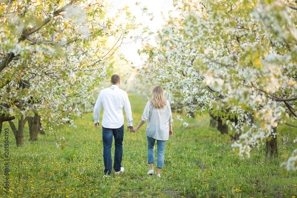 Fototapeta premium family life, spring, happiness concept. there is a lover couple that is walking through the wonderful garden of blooming apple trees, husband and wife are holding hands