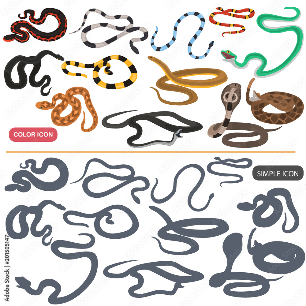 Poison snakes color flat and simple icons set
