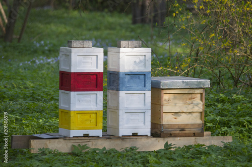 colorful beehives stand side by side among trees in a meadow
