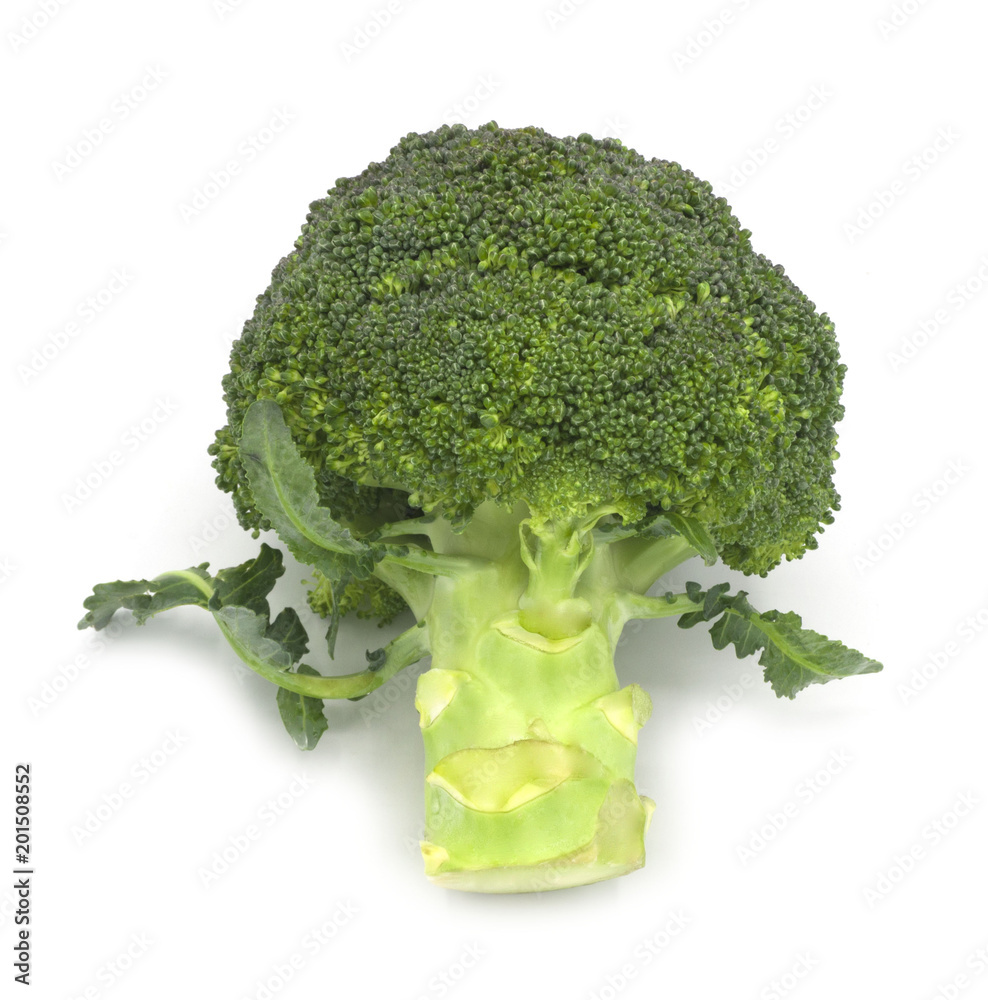 green broccoli and cutting in the bowl isolated on white background. vegetable for good health benefits. ingreedient for cooking green broccoli and cutting in the bowl isolated on white background. vegetable for good health benefits. ingreedient for cooking