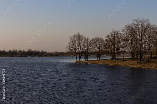 Spring floodplain of the river and standing on the edge of a tree