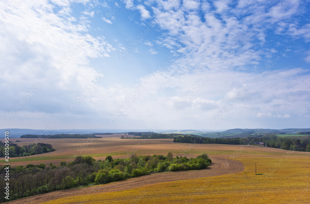 Spring landscape with field, forest and sky