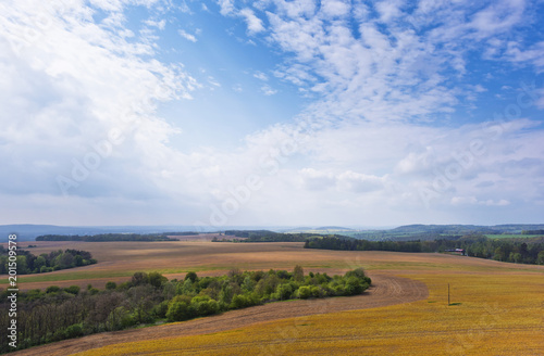 Spring landscape with field  forest and sky