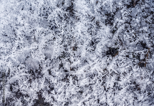 texture of frozen water