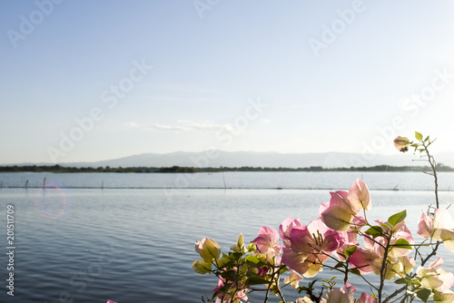 clouds reflected in the water and framed with  flowers © PhatCha