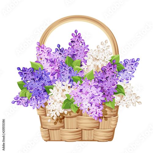 Vector beige wicker basket with purple and white lilac flowers.
