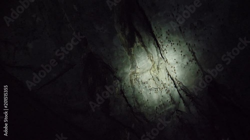 Floating inside Underground river by boat, Sabang, Philippines