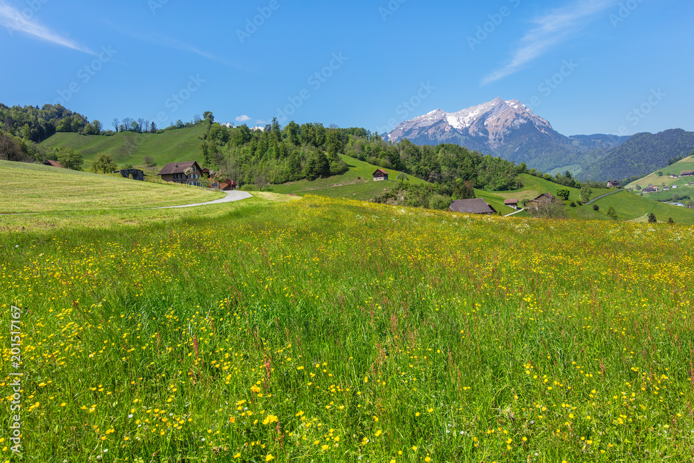Springtime view from the foot of Mt. Stanserhorn in the Swiss canton of Nidwalden close to the town of Stans, summit of Mt. Pilatus in the background