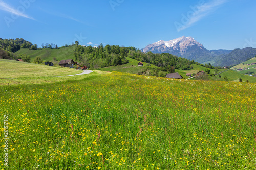 Springtime view from the foot of Mt. Stanserhorn in the Swiss canton of Nidwalden close to the town of Stans, summit of Mt. Pilatus in the background