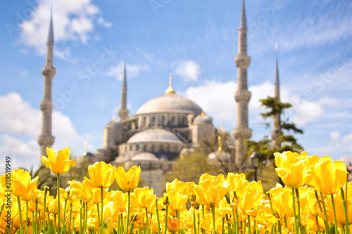 Canvas Print Tulip Festival in Sultanahmet Square and Blue Mosque, Istanbul