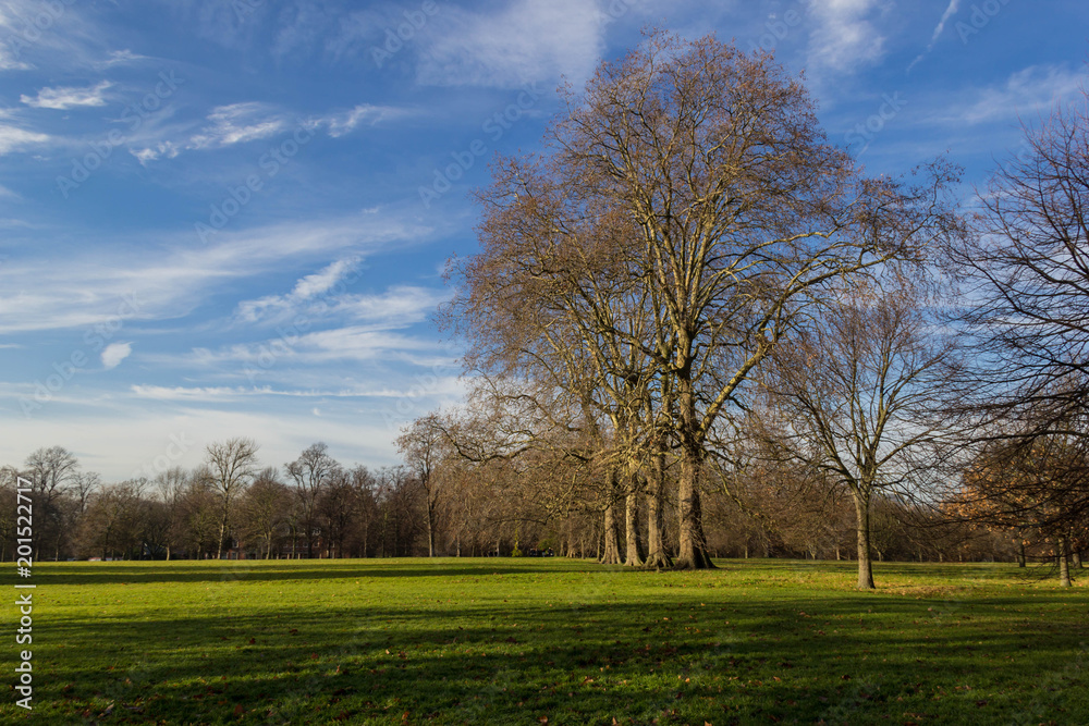 Hyde Park in London