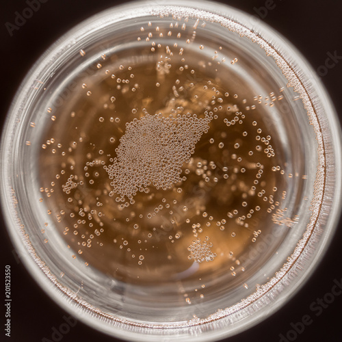 bulles dans le verre