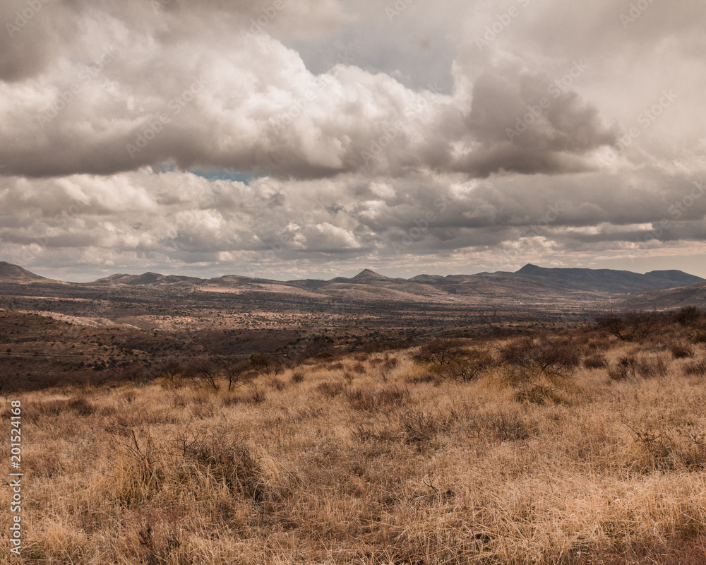 Barren