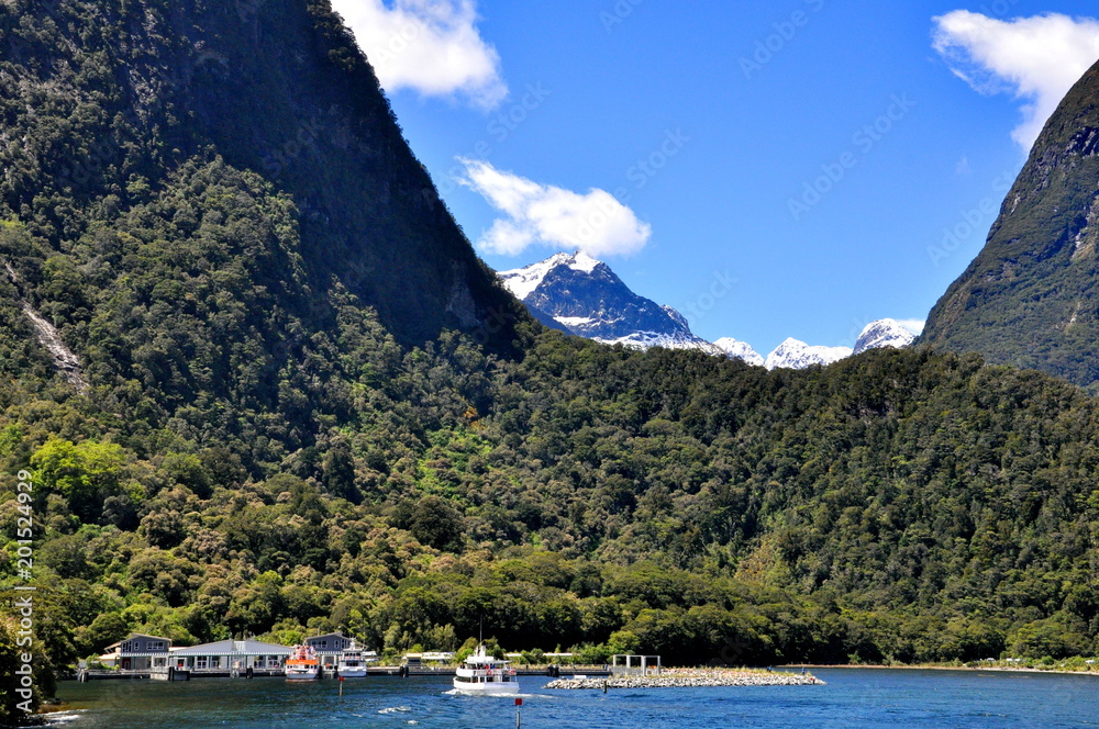 The harbour at Milford Sound, Fiordland, New Zealand 