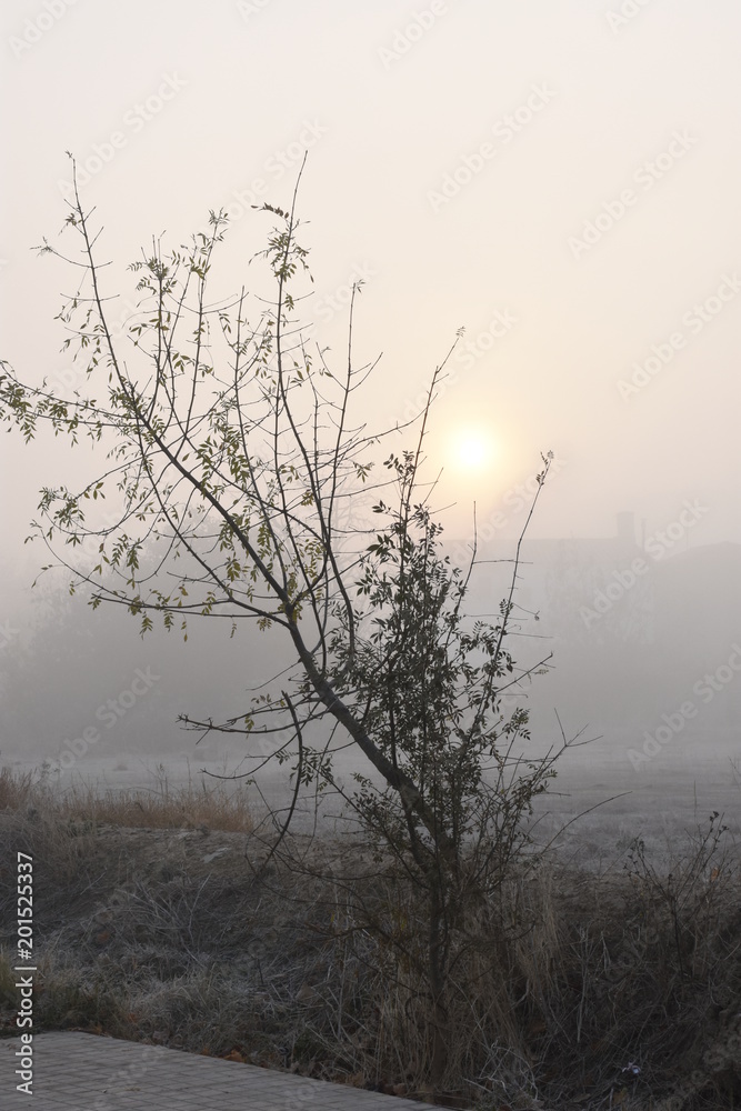 Paisaje con casa aislada, con niebla matinal, al alba, al amanecer Paisaje con casa aislada, con niebla matinal, al alba, al amanecer