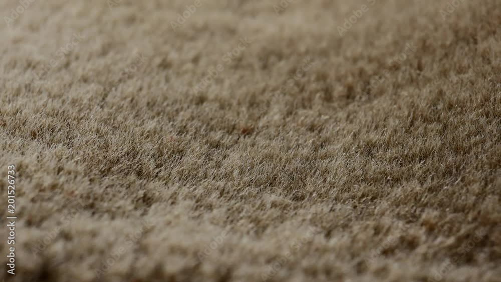 Synthetic fur background A fake fur material backdrop in true macro close up with a sliding camera move. Synthetic fur background A fake fur material backdrop in true macro close up with a sliding camera move.