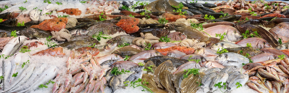Variety of sea fishes on the counter in a greek fish shop. Variety of sea fishes on the counter in a greek fish shop.