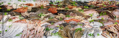 Variety of sea fishes on the counter in a greek fish shop.