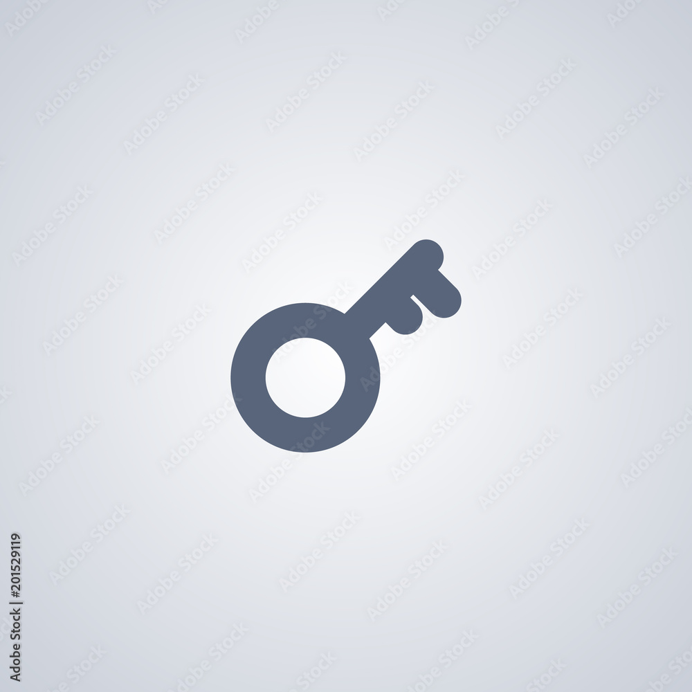 Key icon Key icon