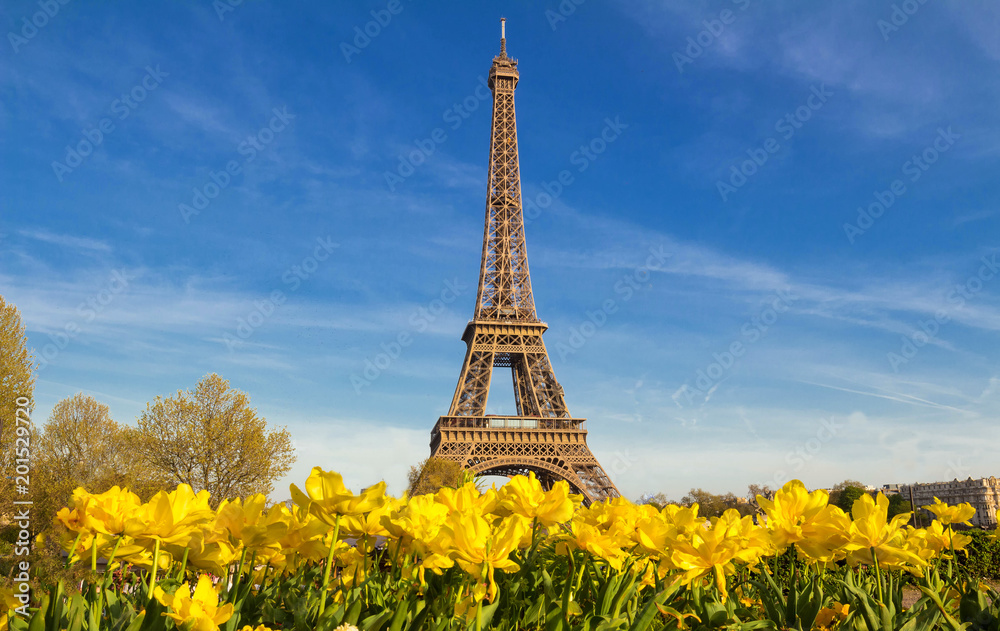 The Eiffel tower with a vibrant blue spring sky with yellow flowers in foreground, Paris, France.