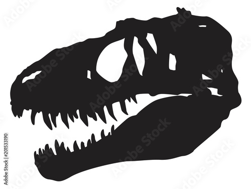 skull  dinosaur vector