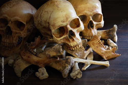 Awesome pile of three skull and bone on dark background in the morgue  Still Life style  selective focus..