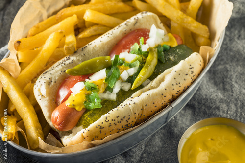 фотографія Homemade Chicago Style Hot Dog with Mustard
