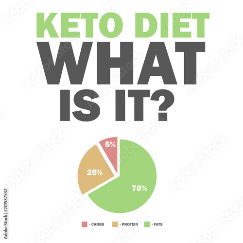 ketogenic diet macros diagram, low carbs, high healthy fat vector illustration for infographic title - what is it