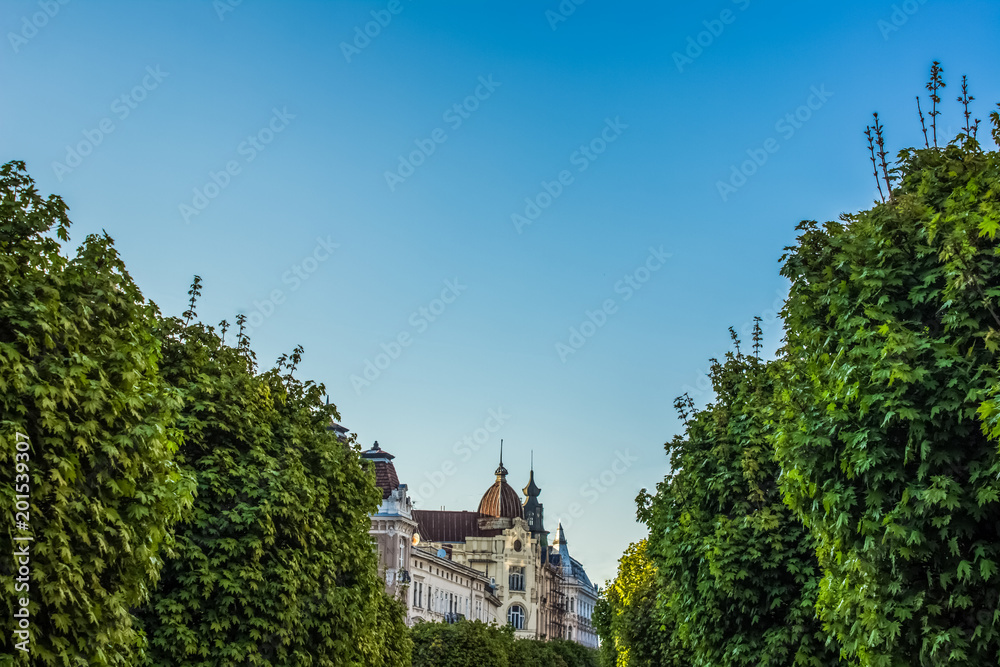beautiful old city view in green space district with trees on foreground medieval building on background and empty space for copy or text on blue sky 
