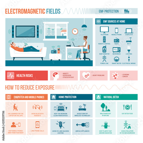 Electromagnetic fields in the home
