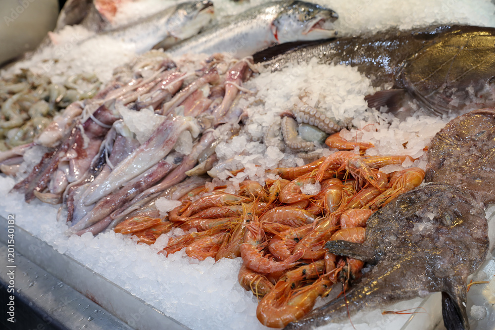 Freshly caught deep-water rose shrimp or Parapenaeus longirostris next to squids, angler and salmon fishes, striped prawns on the counter in a greek fish shop.