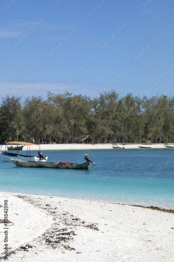 Fototapeta premium Zanzibar Beach