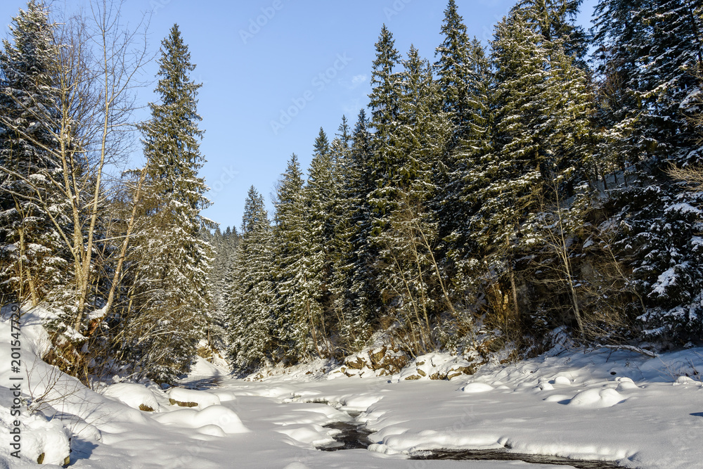 Winter landscape. Snow-covered mountain river at the foot of the high Mountains. Winter landscape. Snow-covered mountain river at the foot of the high Mountains.