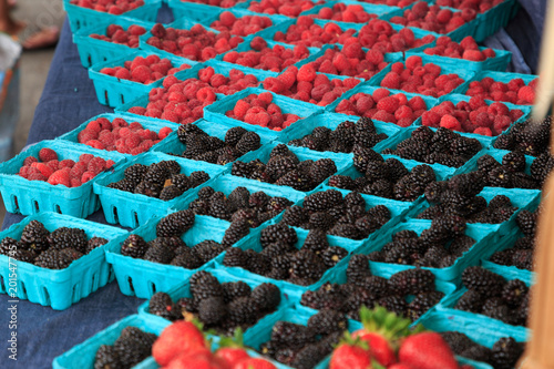 North America, United States, Oregon, Central Oregon, Redmond, Bend, Oregon. The Bend Farmers Market at Top of Mirror Pond Park in downtown. Wild berries for sale. photo