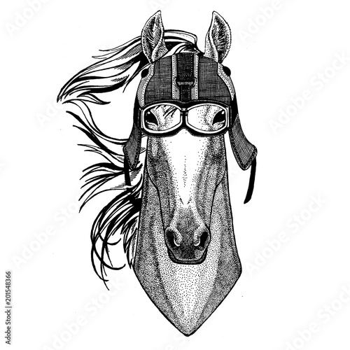 Horse, hoss, knight, steed, courser Animal wearing motorycle helmet. Image for kindergarten children clothing, kids. T-shirt, tattoo, emblem, badge, logo, patch