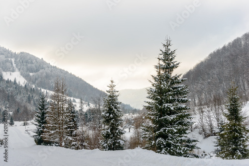 Winter landscape. Snow-covered mountain river at the foot of the high Mountains.