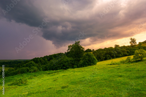 beautiful countryside on a cloudy sunset. trees on grassy hillside in evening light