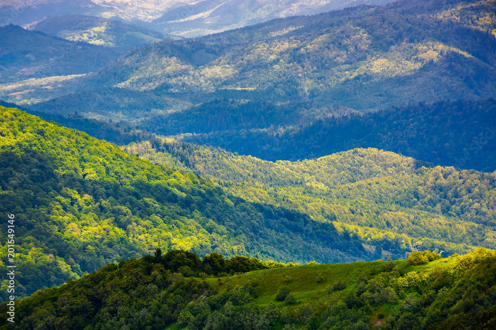 beautiful rolling hills of Carpathian mountains. lovely summer landscape, bird eye view
