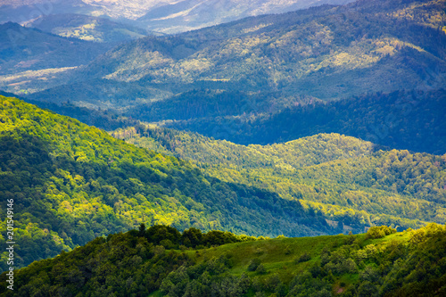 beautiful rolling hills of Carpathian mountains. lovely summer landscape, bird eye view